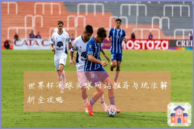 世界杯滚球买球网站推荐与玩法解析全攻略